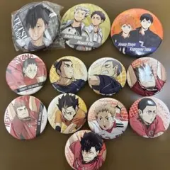 ハイキュー　缶バッチ&ミラー　12個セット