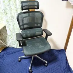 Ergohuman エルゴヒューマン オフィスチェア JOIFA 802