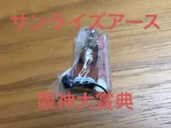競馬　サンライズアース　阪神大賞典　カプコレ