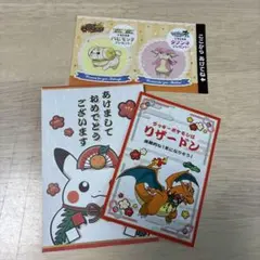 ポケモンセンター ポンチョを着たピカチュウ メガリザードンX 名刺