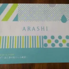 嵐  君と僕の見ている風景 ファイル