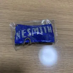 STAR OF WISH NESMITH クリーナー