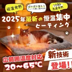 Item thumbnail for item 9f71be2c-3ef2-4897-92ca-c727223484dc