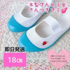 すぐ発送!! 18㎝即決　上履き　新品　水色 上靴