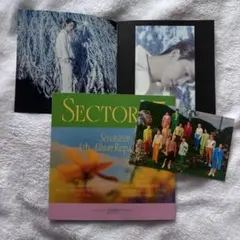 SEVENTEEN SECTOR 17 ディノ