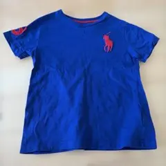 POLO RALPH LAUREN 青 Tシャツ