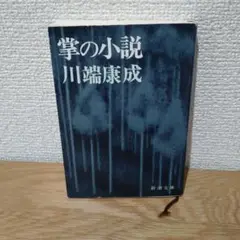 掌の小説