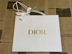 DIOR ショッパー（大）のサムネイル