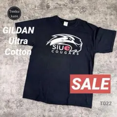 アメリカ古着 GILDAN ウルトラコットン メンズ半袖プリントTシャツ L