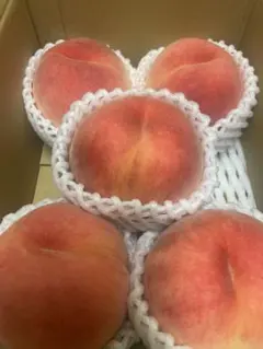 旬の果物 新鮮 桃 もも もも　桃　山梨県産　日川白鳳　ジューシー　甘い　桃のサムネイル