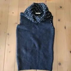 Item thumbnail for item 2b45ad0c-2543-4f66-aa9d-263a90dac5de