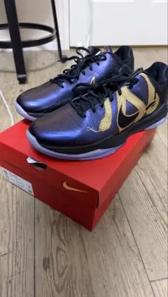 Nike Kobe V Protro “Eggplant” 29cm