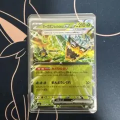 ポケモンカード オーガポンみどりのめんex RR