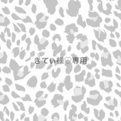 きてぃ様♡専用