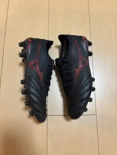 モレリアネオⅣ β JAPAN 24.5cm