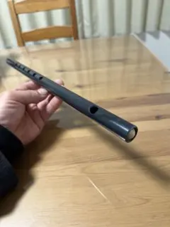 Item thumbnail for item 6c93e332-65b0-489b-a846-d48028e3d72d