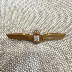 ユナイテッド航空 ウイングバッジ ゴールド United Airlines ゴールドウイングバッジ 2個セット - メルカリ