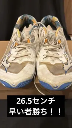 Item thumbnail for item a8175c6a-08cd-434c-98d6-9613c1ef7520