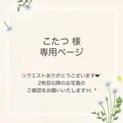 こたつ様 おまとめ2点