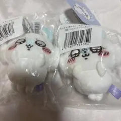 Item thumbnail for item c8a4c27e-09a0-4265-9b47-a686a00501c8