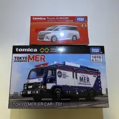 Item thumbnail for item 39a28519-f490-4c0b-a2e4-f81ac7817a08