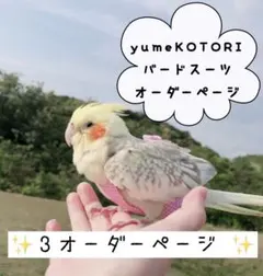 Item thumbnail for item 2cf1c37f-7892-4238-9b21-856d58b8bd1b