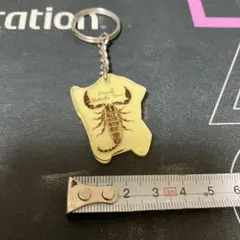 蠍⭐️キーホルダー⭐️当時物⭐️