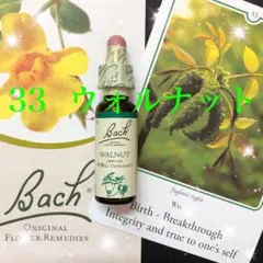 Item thumbnail for item 2456a332-5f69-4544-b492-5f655e898b0c