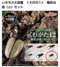 いきもの大図鑑 樹皮台座(小)×4つセット - メルカリ