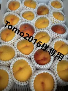 沖縄クール便‼️Tomo2016様専用‼️ 滝の沢ゴールド　マンゴーピーチ　黄金桃