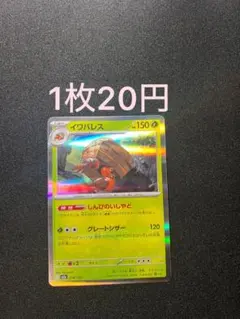 レイ様 リクエスト 5点 まとめ商品