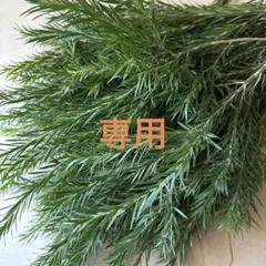 aya様専用です！②