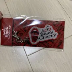 Acid Black Cherry Black Cherry 折り畳み傘 28 - メルカリ