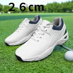 Item thumbnail for item 4b5bb1d5-e55a-4de2-bd26-6a5ab4a73f99