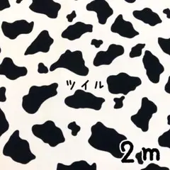 Item thumbnail for item 88a0d12f-36a0-4daf-90d6-82b62922085a