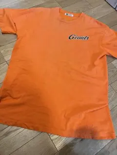 Item thumbnail for item 8a7c2881-51ae-4fba-9e89-16879f679380