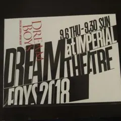 【ライブパンフレット】Kis-My-Ft2　DREAM BOYS 2018