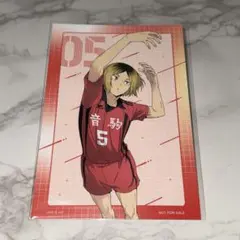 【匿名配送】ハイキュー 孤爪研磨 ポストカード ウィンターフェア 2025