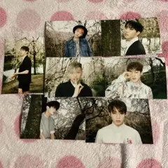 seventeen セブチ 消費期限 ユニバ 特典 トレカ 13種コンプ - メルカリ