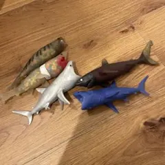 22 ディアゴスティーニ　＆co サメ系　セット