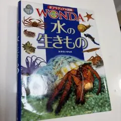 チョウ 講談社カラー科学大図鑑 スーパーワイド版 - メルカリ