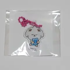プルバトゥ フェイスキーリング 4点 セット プルバトゥ'POP-UP STORE＜PPULBATU WARI WARI＞詳細