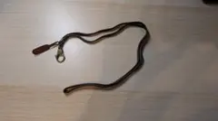 イル・ビゾンテ　レザーネックストラップ（ブラック）