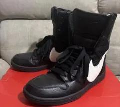 NIKE リカルドティッシ ダンク LUX