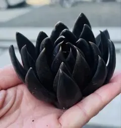 あめ様 ご専用　值引100円　おまけ付き　リクエスト 3点 まとめ商品