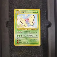 美品✨旧裏　バタフリー サザンアイランド　q2