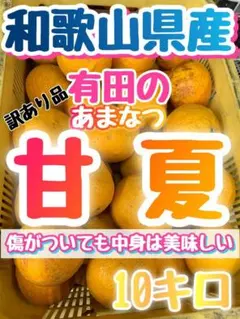熊本県産 メークイン 10kg 無農薬栽培 新じゃが - メルカリ