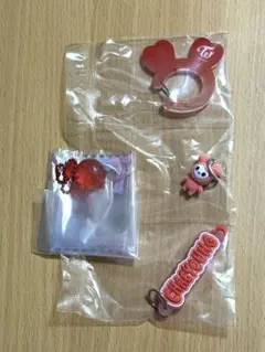 TWICE LOVELYS アクリルカラビナフロッキーマスコットガチャ チェヨン