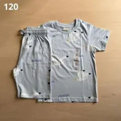 新品 120 海外 カモメ パジャマ 上下 セットアップ キッズ　シンプル 水色