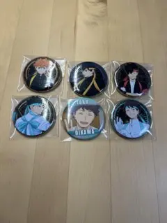 ハイキュー!! アルティメタルバッジコレクション 応援団 缶バッジ6個セット